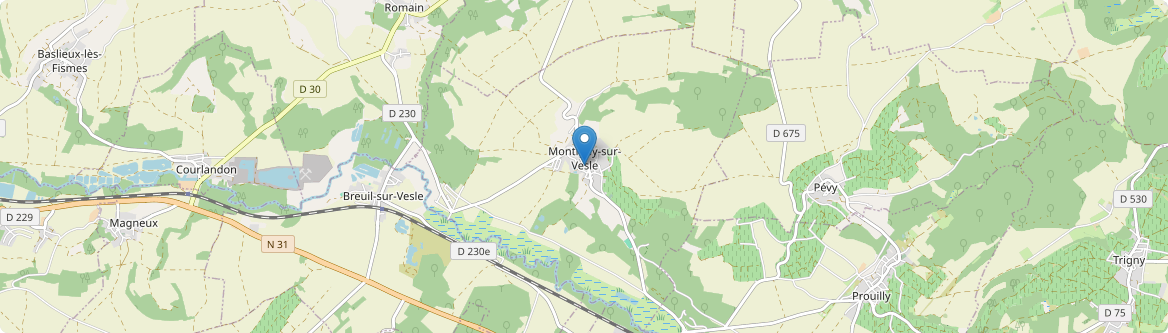 Montigny-sur-Vesle - Carte
