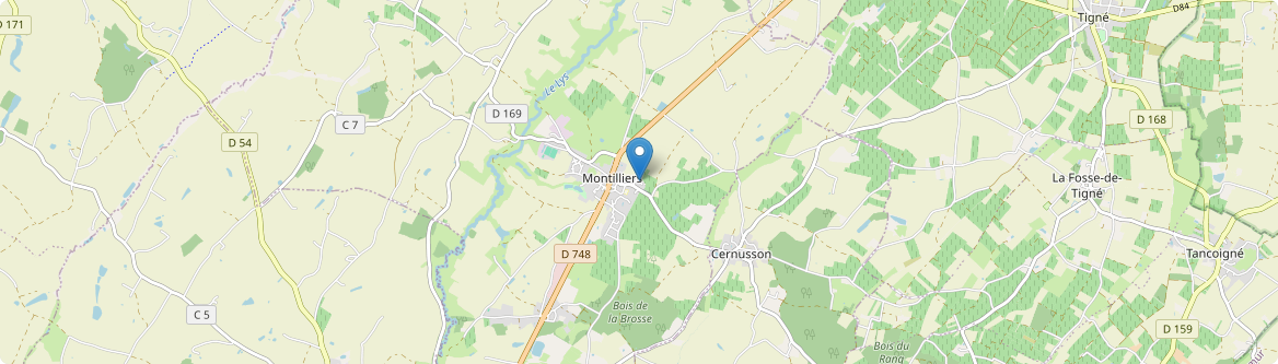 Montilliers - Carte