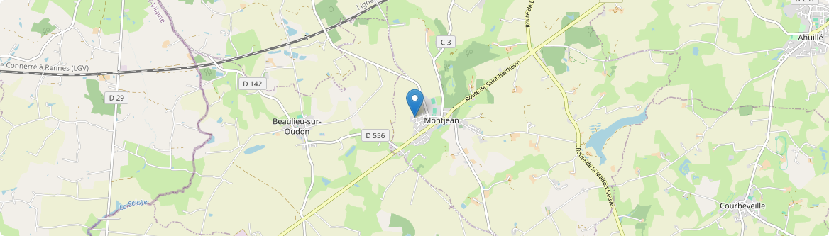 Montjean - Carte