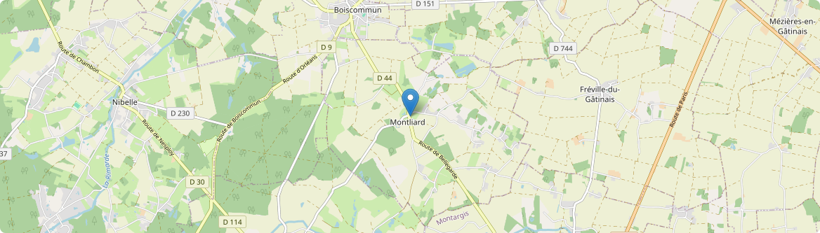 Montliard - Carte