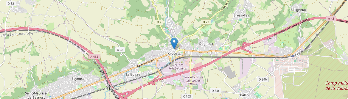 Montluel - Carte