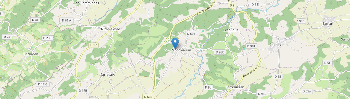 Montmaurin - Carte