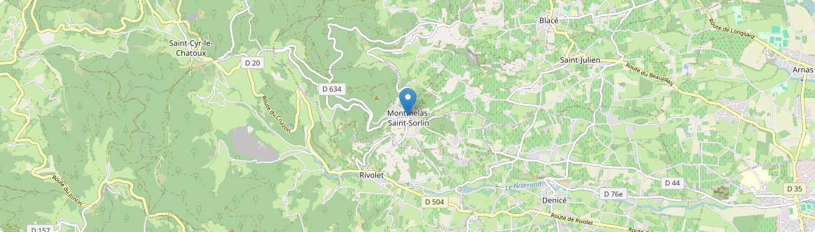 Montmelas-Saint-Sorlin - Carte