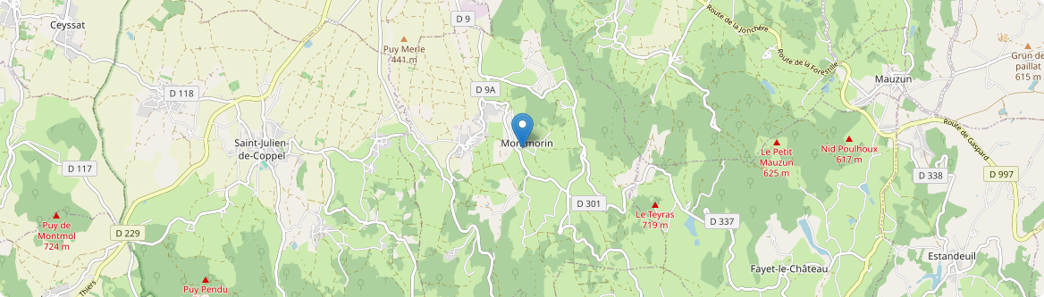 Montmorin - Carte
