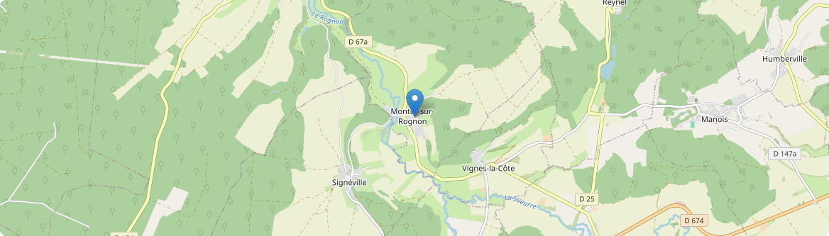 Montot-sur-Rognon - Carte