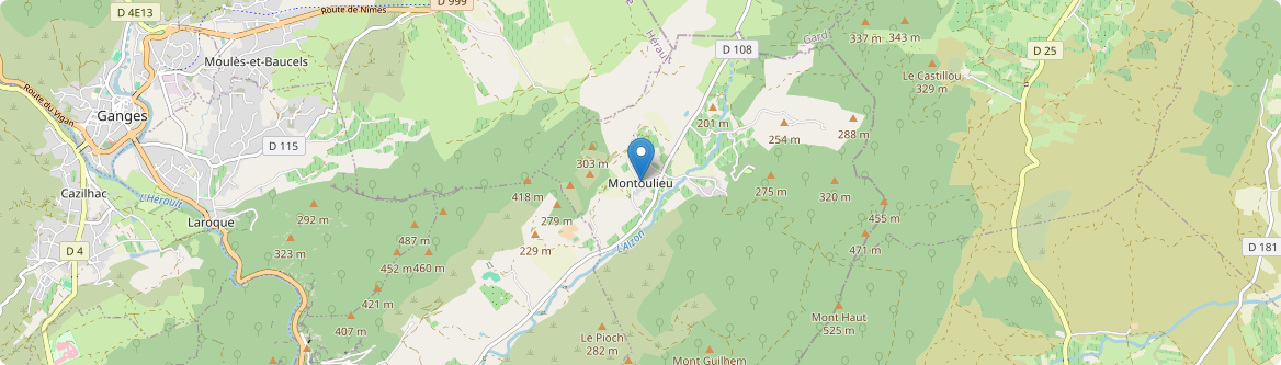 Montoulieu - Carte