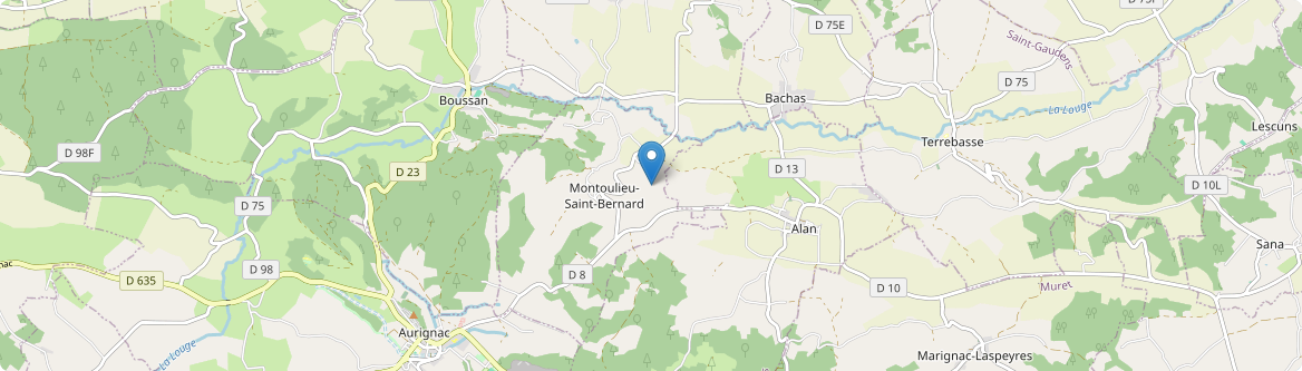 Montoulieu-Saint-Bernard - Carte