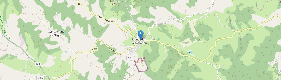 Montredon-Labessonnié - Carte