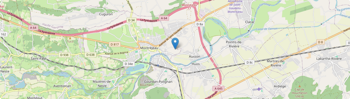 Montréjeau - Carte