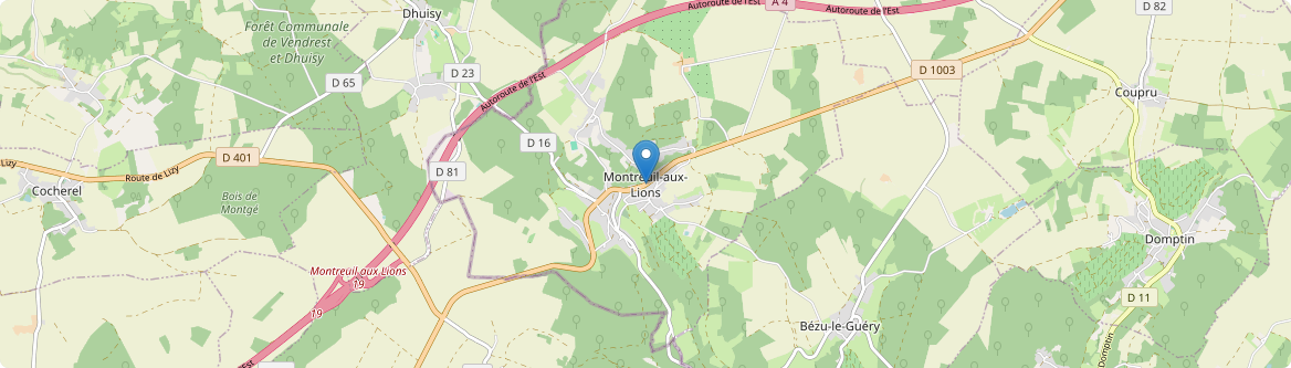 Montreuil-aux-Lions - Carte