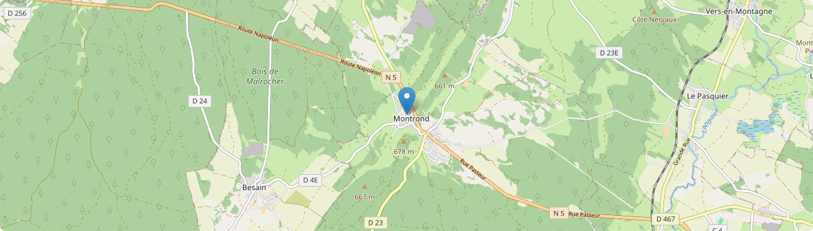 Montrond - Carte