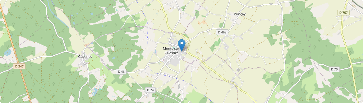Monts-sur-Guesnes - Carte
