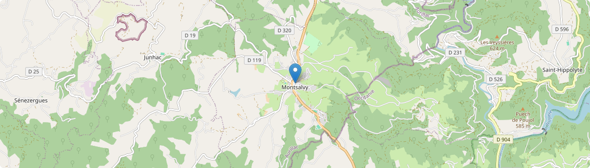 Montsalvy - Carte