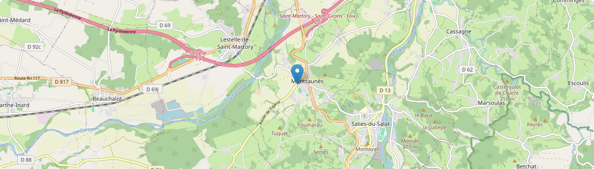Montsaunès - Carte