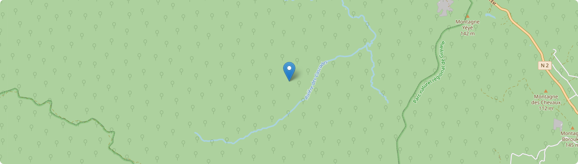 Montsinéry-Tonnegrande - Carte