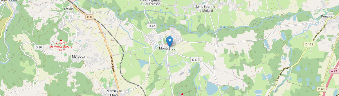 Montverdun - Carte