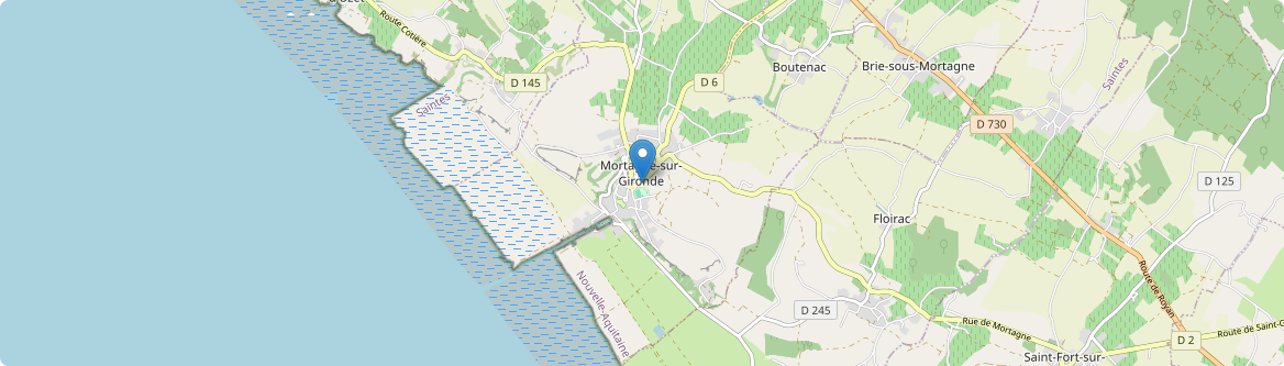 Mortagne-sur-Gironde - Carte
