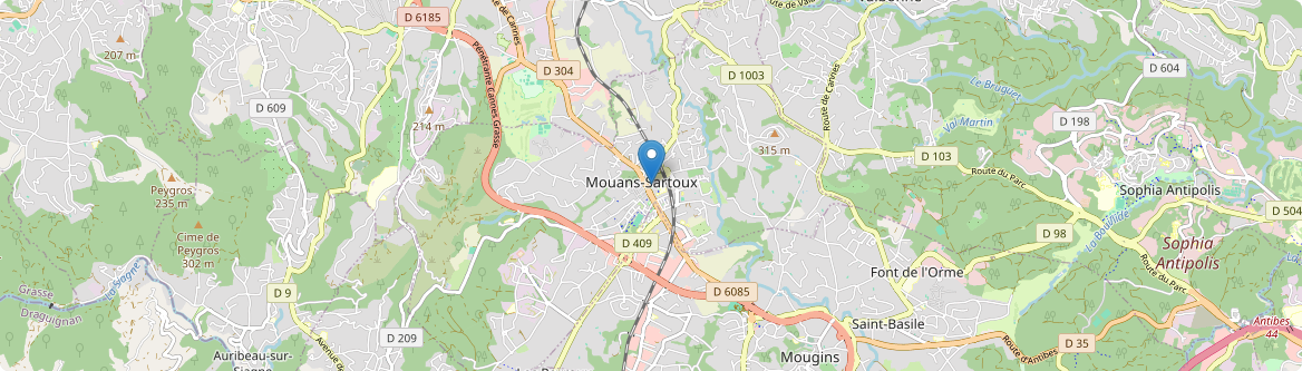 Mouans-Sartoux - Carte