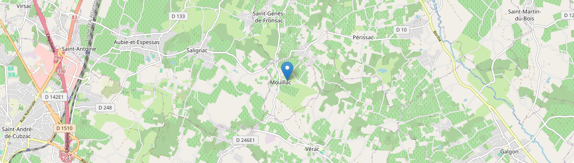 Mouillac - Carte