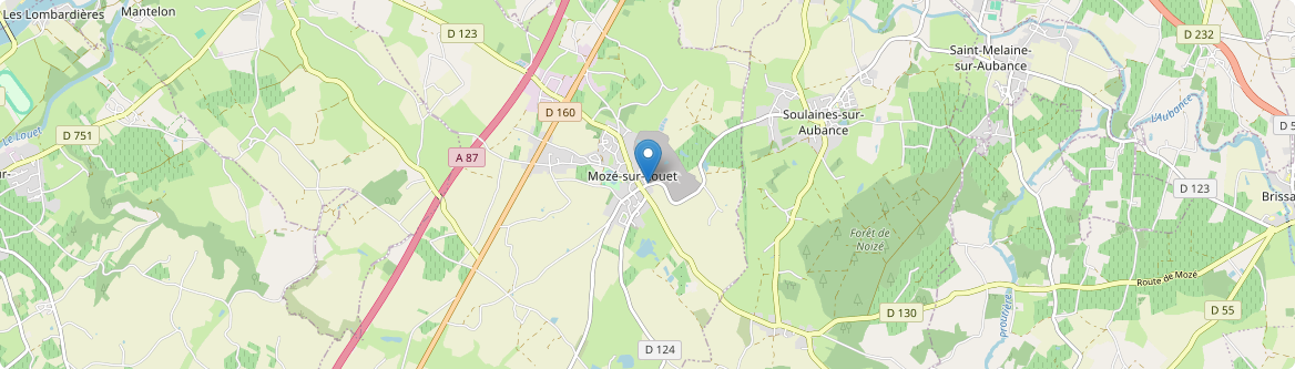 Mozé-sur-Louet - Carte