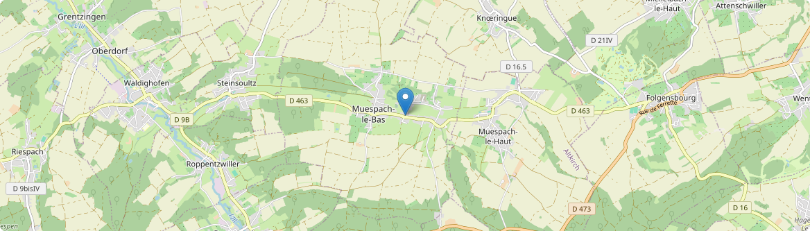 Muespach - Carte