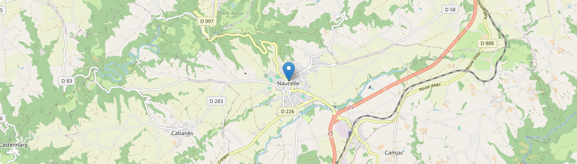 Naucelle - Carte