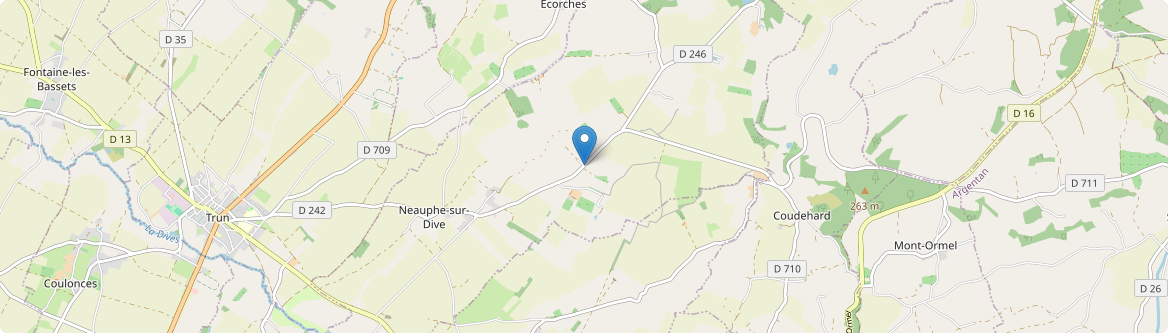Neauphe-sur-Dive - Carte