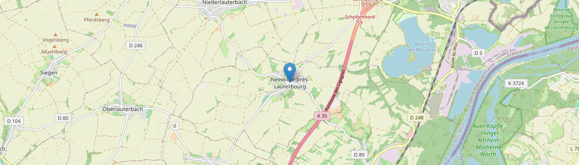 Neewiller-près-Lauterbourg - Carte