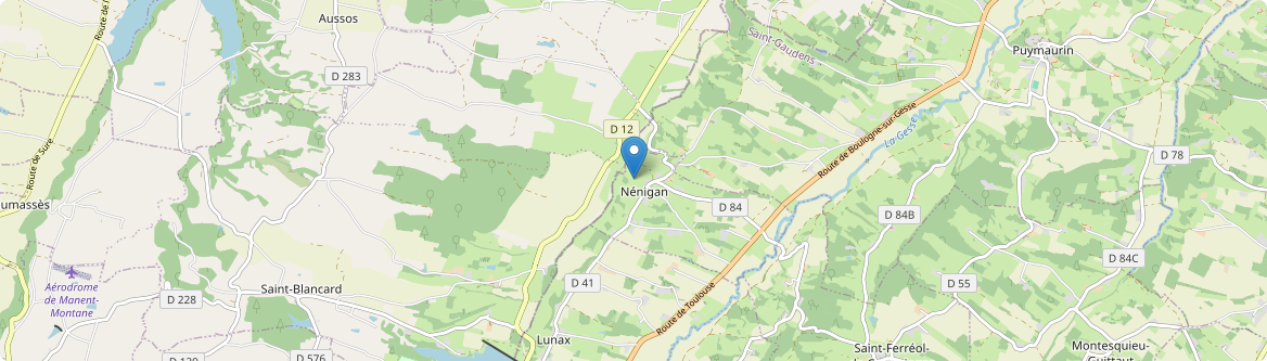 Nénigan - Carte