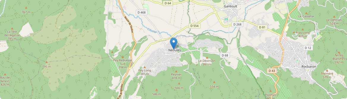 Néoules - Carte
