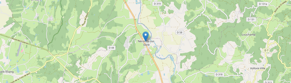 Néronde-sur-Dore - Carte