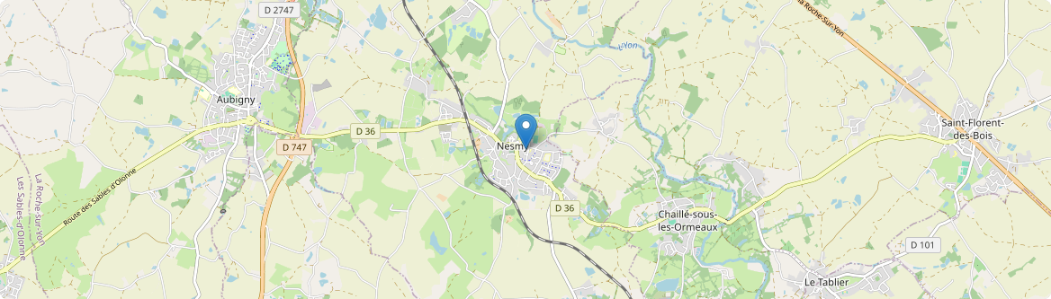 Nesmy - Carte