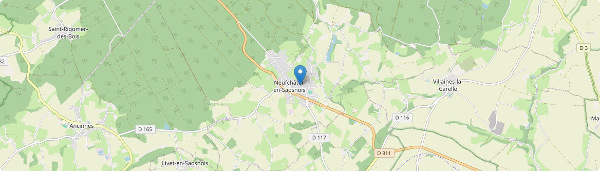 Neufchâtel-en-Saosnois - Carte
