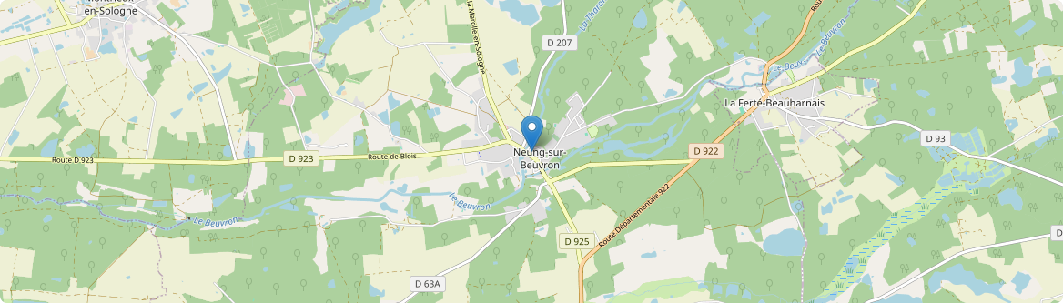 Neung-sur-Beuvron - Carte
