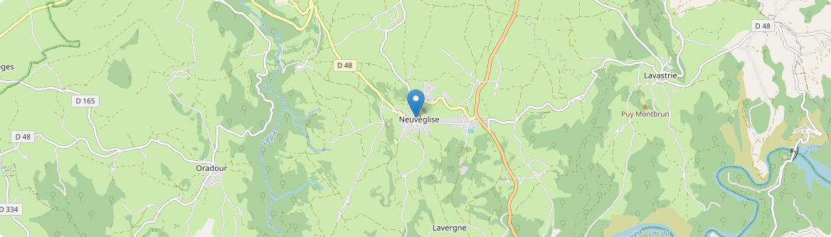 Neuvéglise-sur-Truyère - Carte