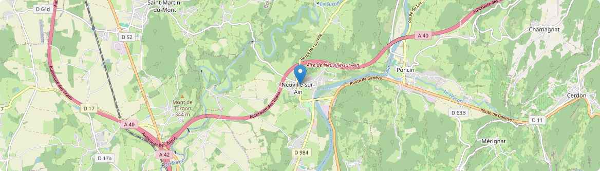 Neuville-sur-Ain - Carte