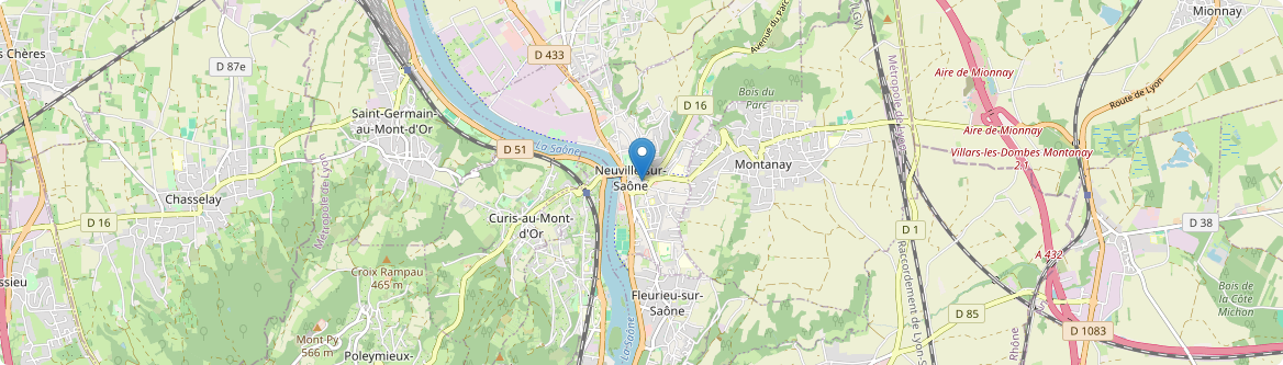 Neuville-sur-Saône - Carte