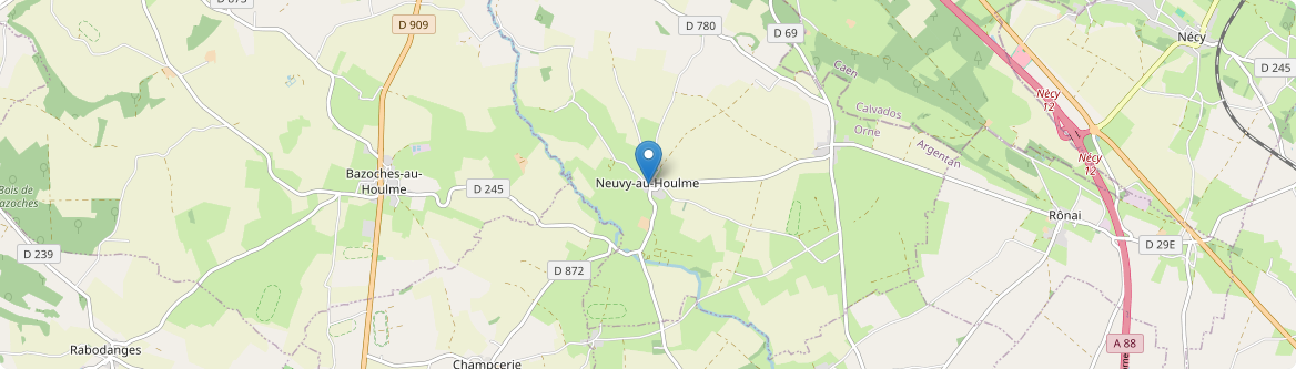 Neuvy-au-Houlme - Carte