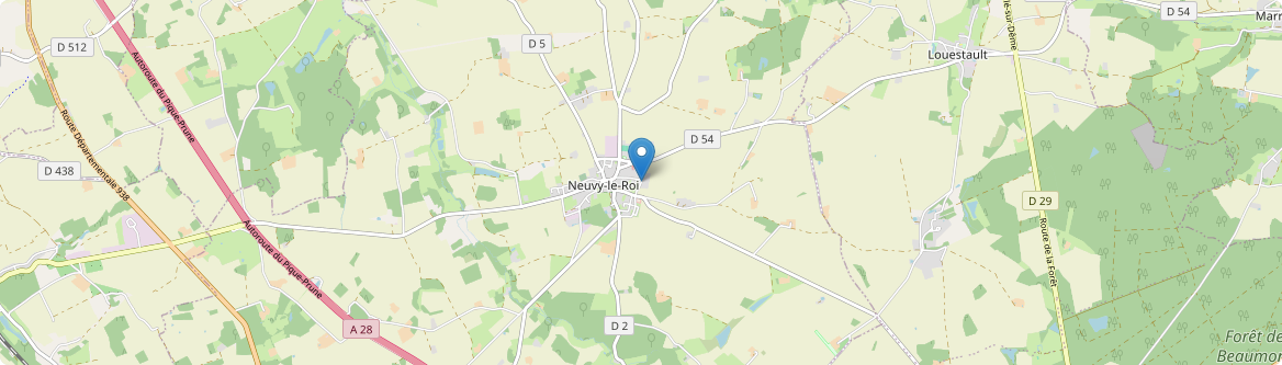 Neuvy-le-Roi - Carte