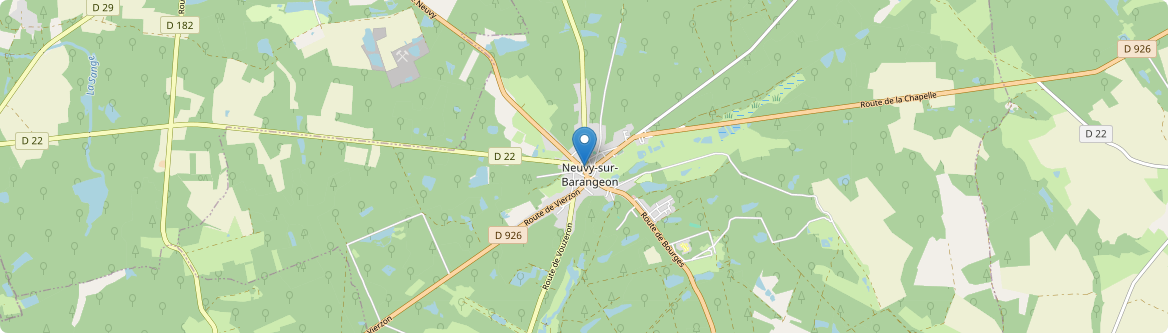 Neuvy-sur-Barangeon - Carte
