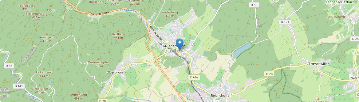 Niederbronn-les-Bains - Carte