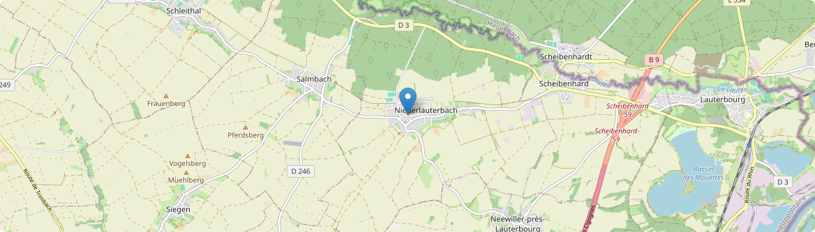Niederlauterbach - Carte