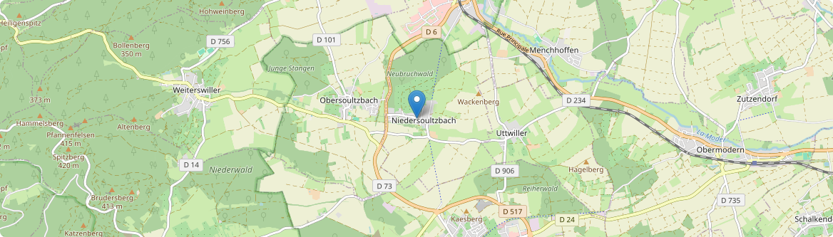 Niedersoultzbach - Carte