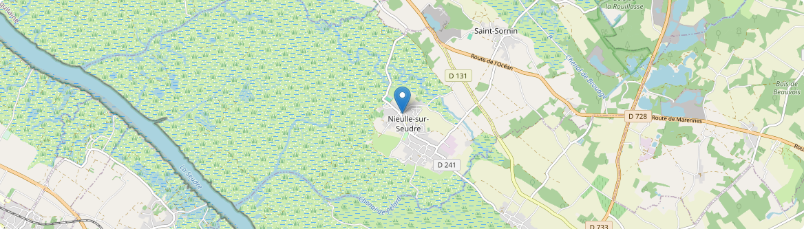 Nieulle-sur-Seudre - Carte