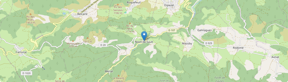 Niort-de-Sault - Carte