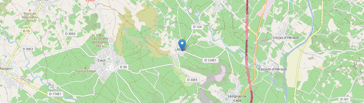 Nizas - Carte