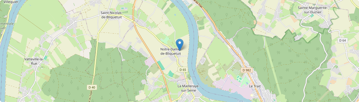 Notre-Dame-de-Bliquetuit - Carte
