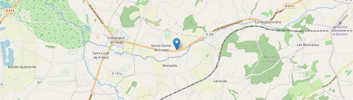 Notre-Dame-de-Livaye - Carte