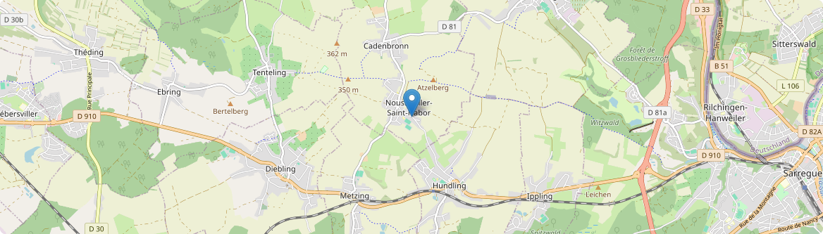 Nousseviller-Saint-Nabor - Carte