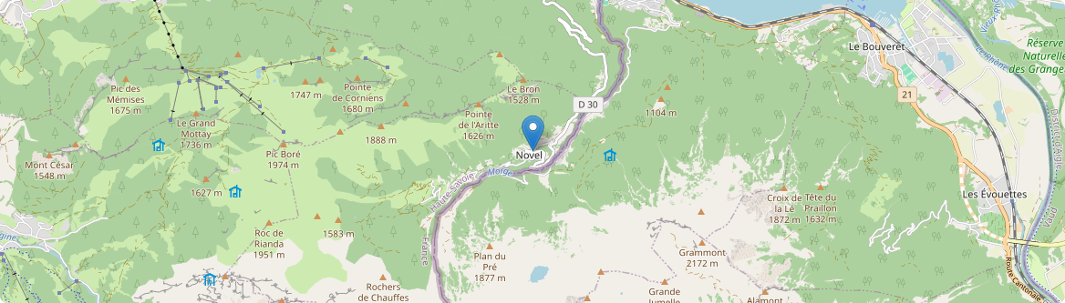 Novel - Carte